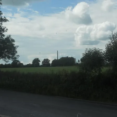 The Silver Eel Strokestown