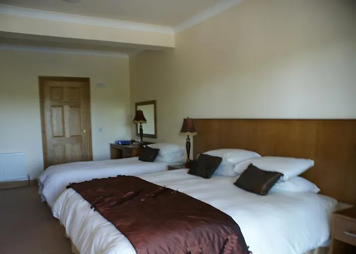 The Silver Eel Couette-café Strokestown