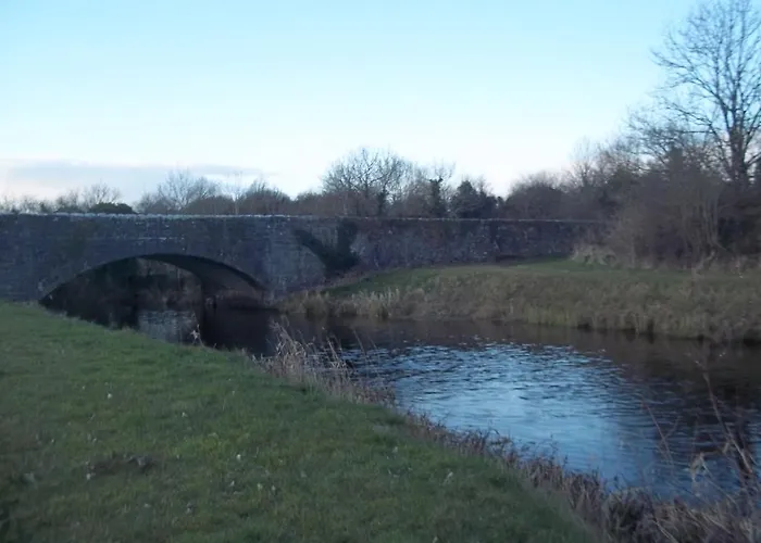 The Silver Eel Strokestown